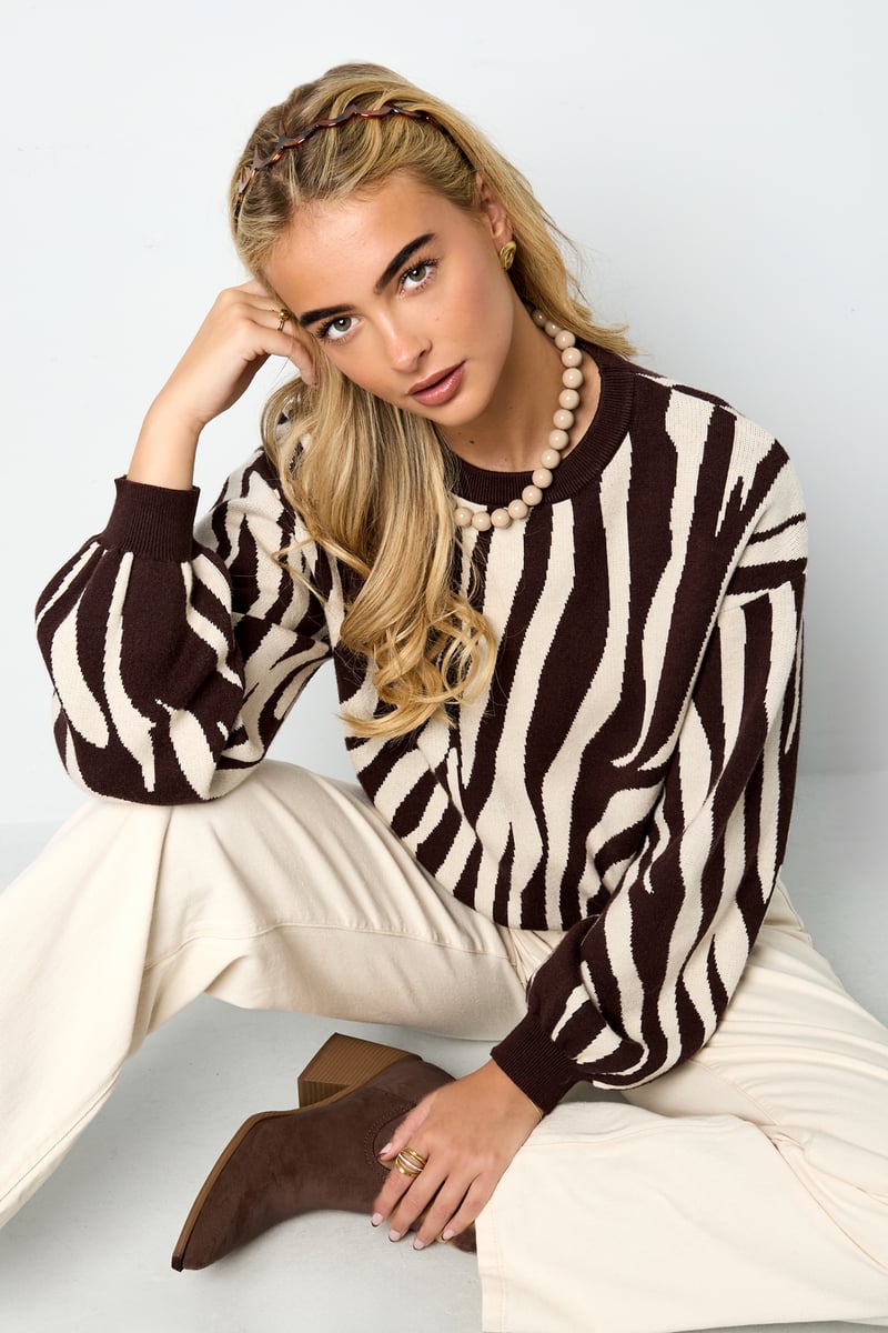 Gebreide truien Zebrastrepen Casual herfst/winterkleding