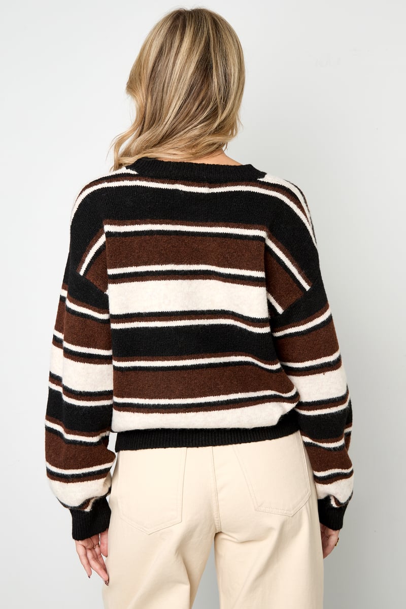 Polyestervezel (polyester) Gebreide truien Strepen Casual Herfst/Winterkleding