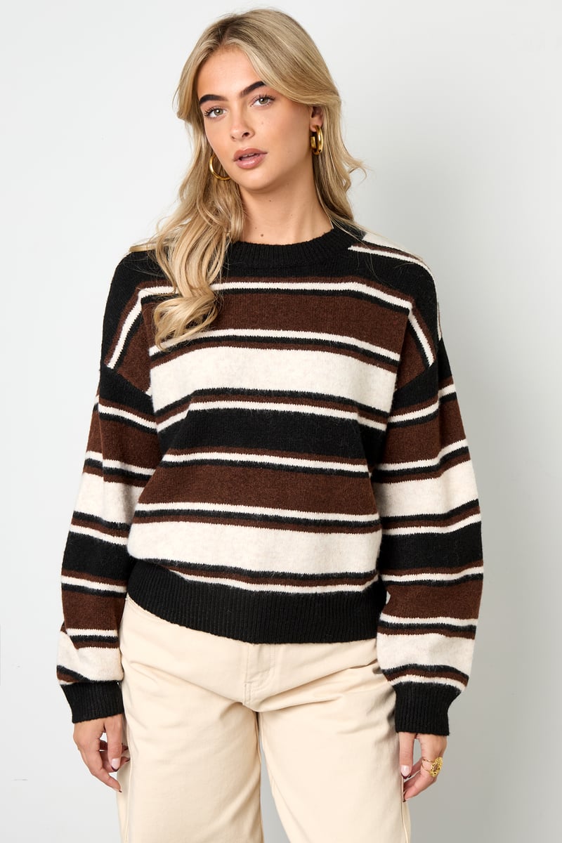 Polyestervezel (polyester) Gebreide truien Strepen Casual Herfst/Winterkleding